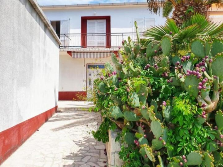 Apartmanibeta Stara Novalja Exteriér fotografie